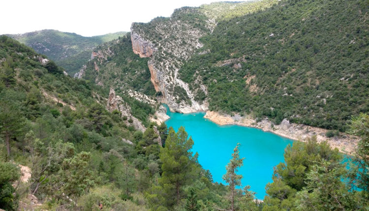 pallars-jussa