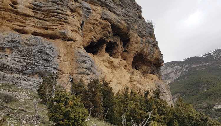 Coves-dels-Moros