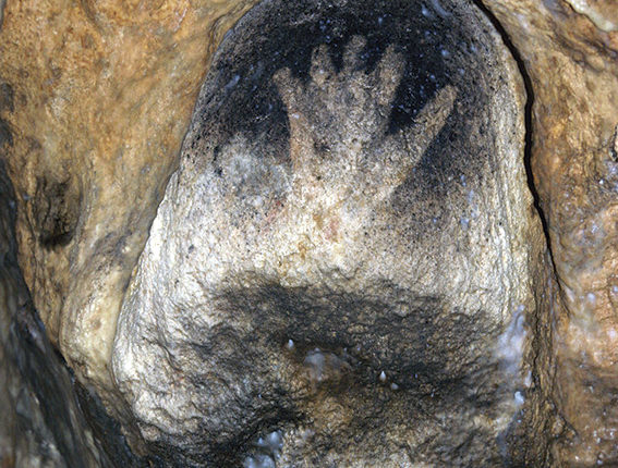 Main-à-la-niche-©-R