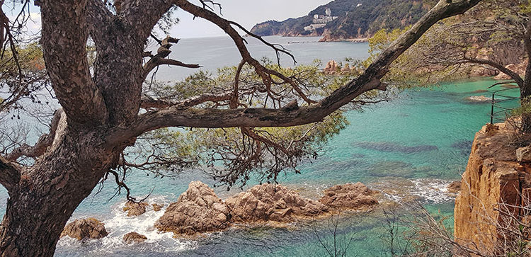 panoramica_cala