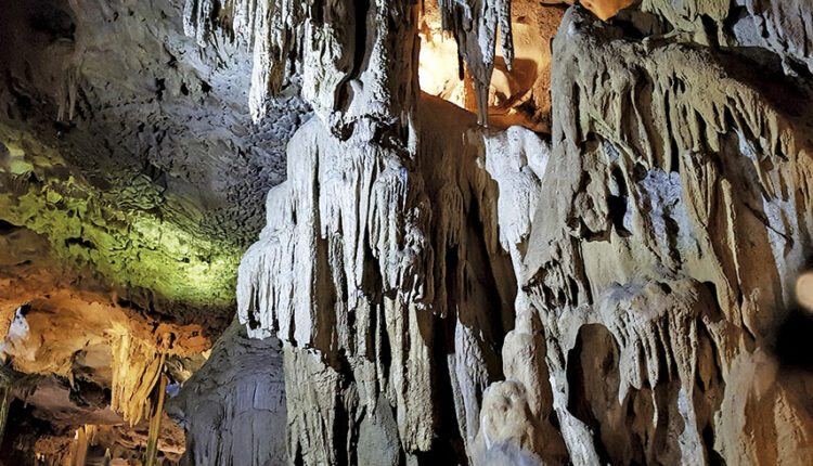 Interior-Cova-2