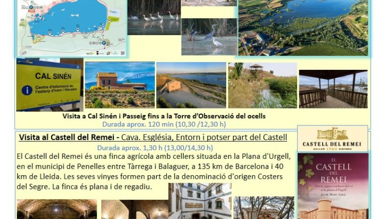 Comunicat-Descoberta-Setembre_2021